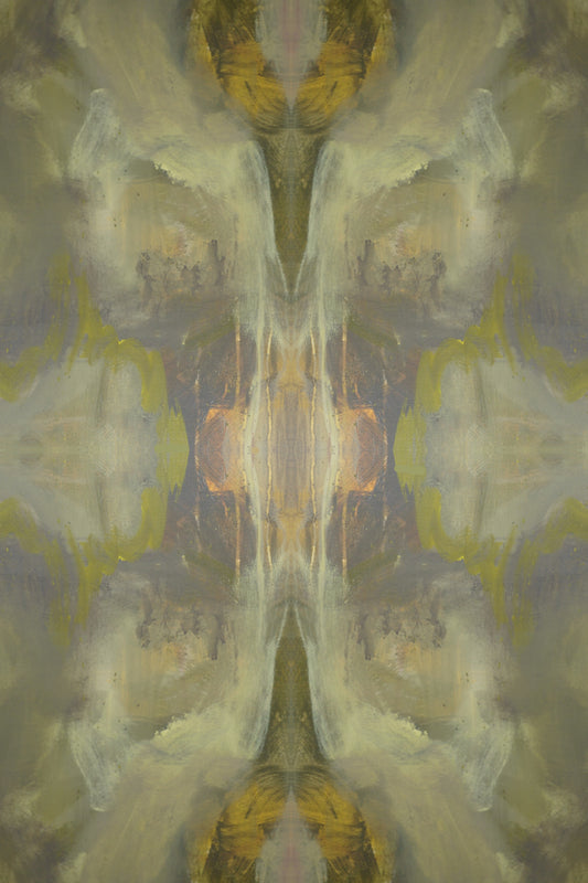 Enchanted Discovery 07