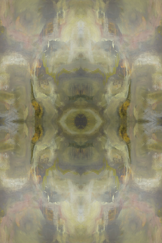 Enchanted Discovery 01