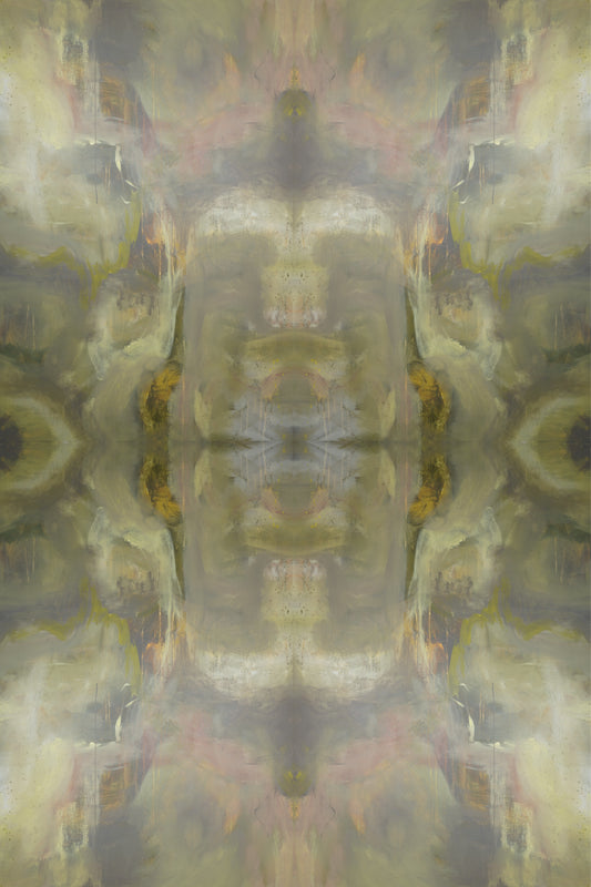 Enchanted Discovery 02