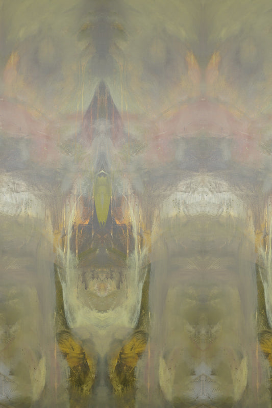 Enchanted Discovery 05